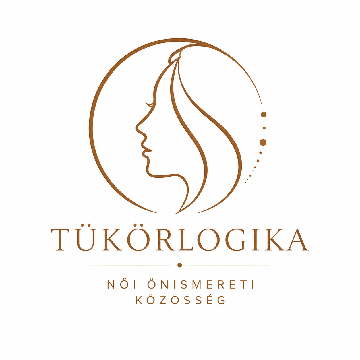 Tükörlogika